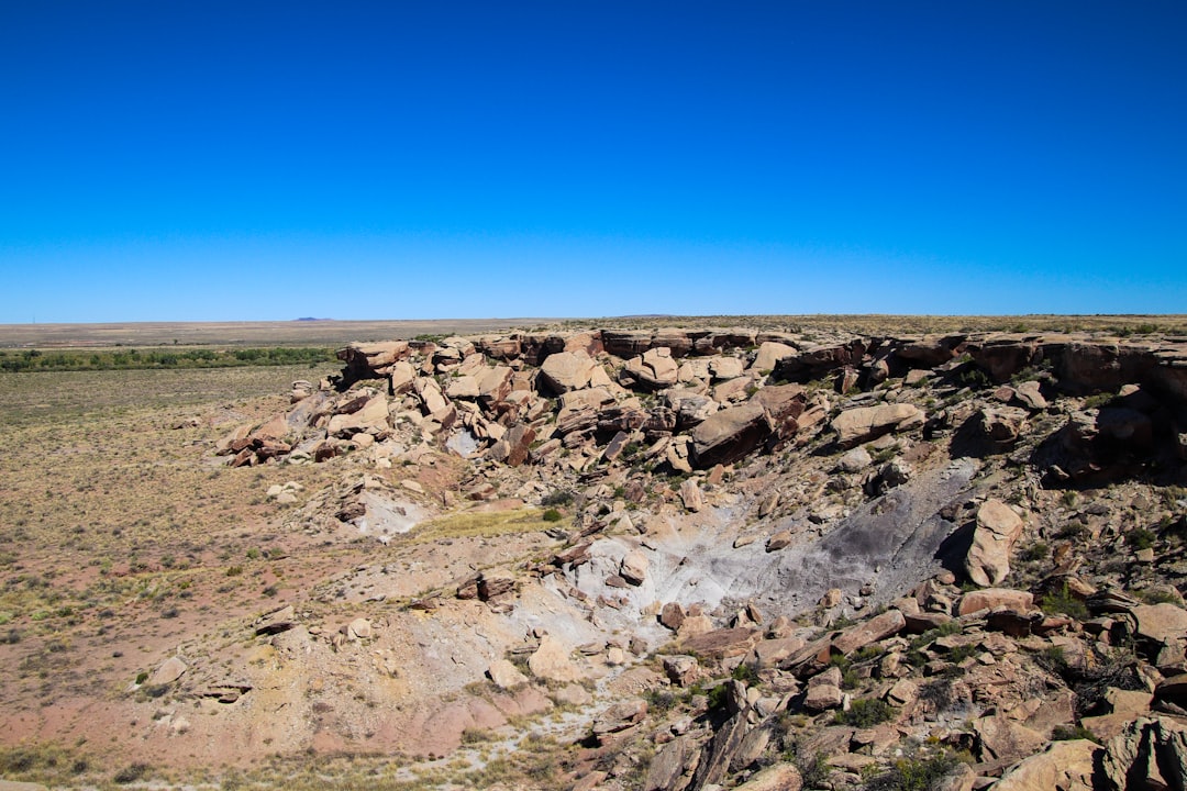 FAQs e63e8b08-0d22-46a3-a202-2a81c828938d.jpg