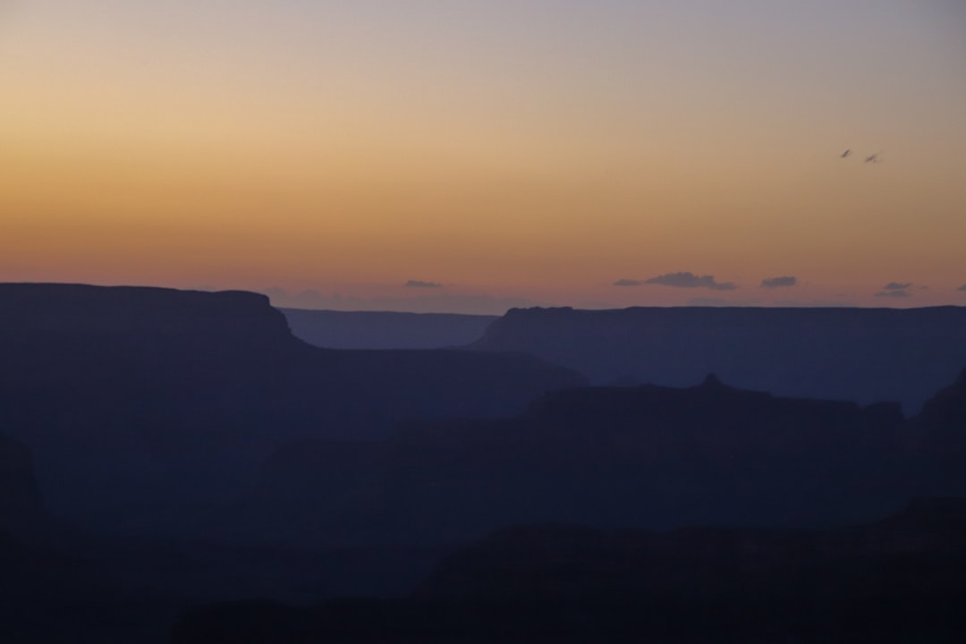 Realtors/Buyers 48cf9734-bb12-4b36-aad0-7d06060a4d89.jpg